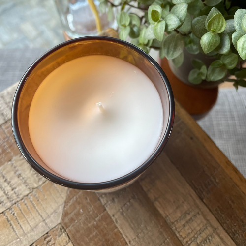 Deep Harbour | 8 Ounce Coconut Apricot Wax Candles | Toxin-Free