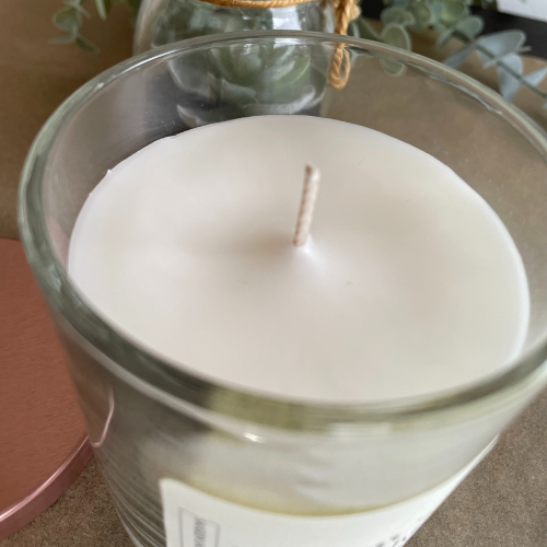 Forest Path | 10 Ounce Coconut Apricot Wax Candles | Toxin-Free (Copy) (Copy) (Copy) (Copy) (Copy) (Copy) (Copy)